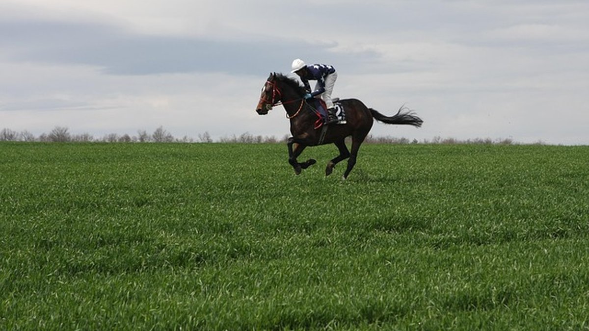 Recuperar sede con servidores: guía legal y técnica rápida