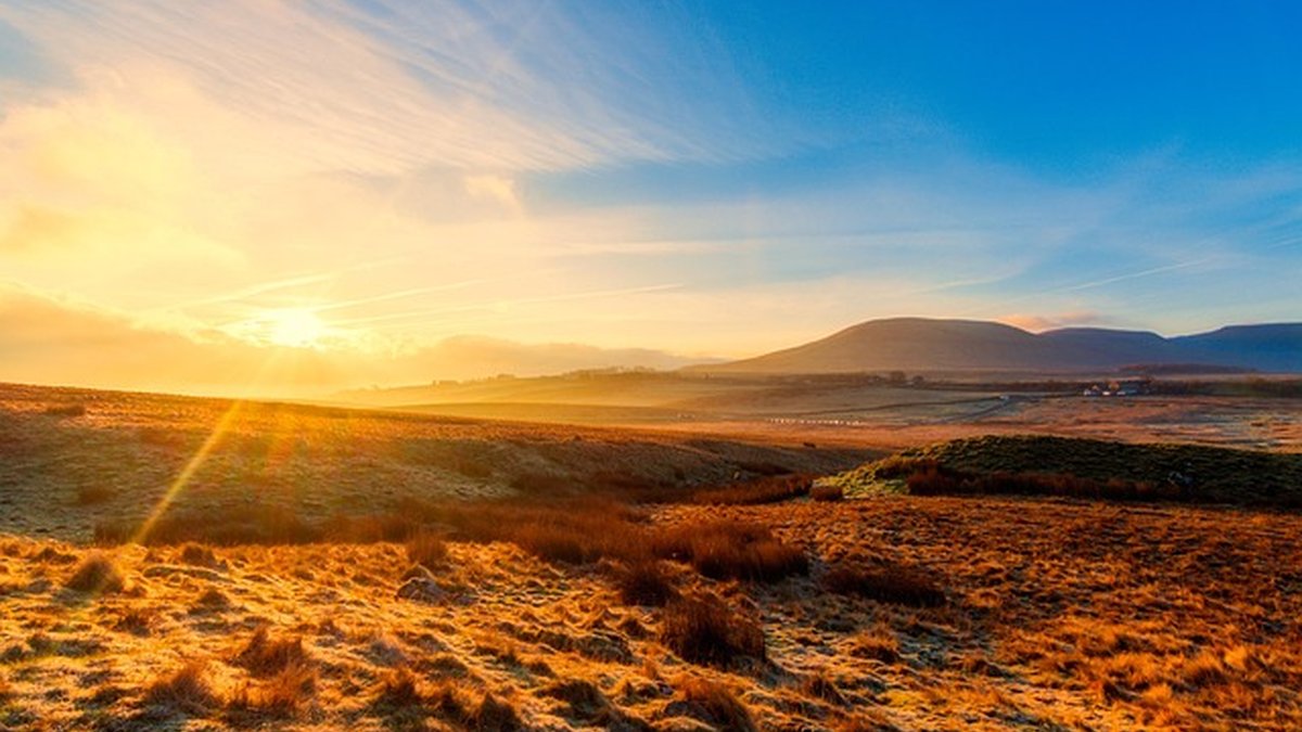 Desokupación y reactivación para franquicias afectadas