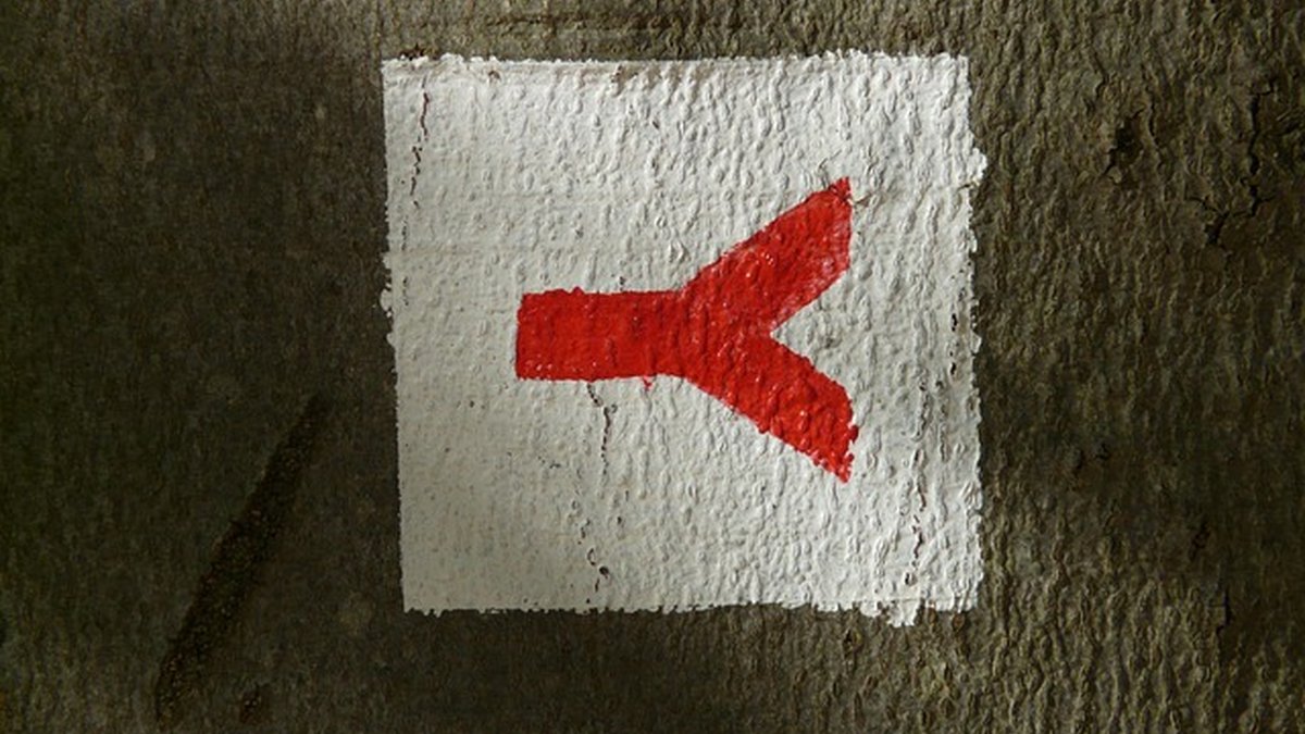 Formación y protocolos para gestores patrimoniales: guía práctica 2026