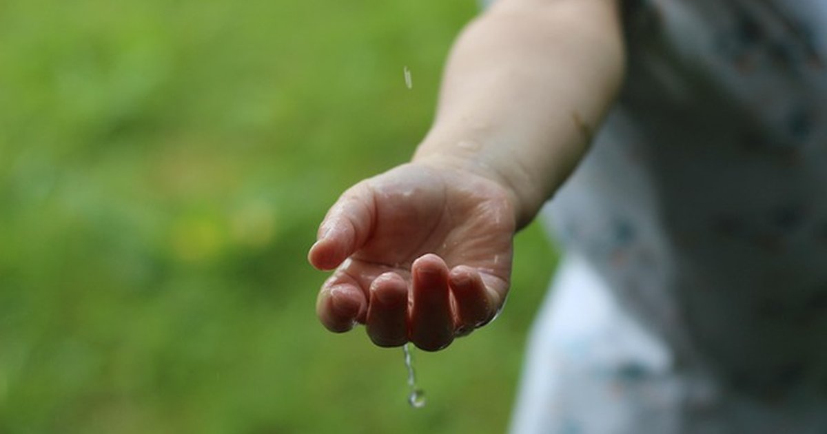 Protocolos municipales por CCAA: directorio y plantillas