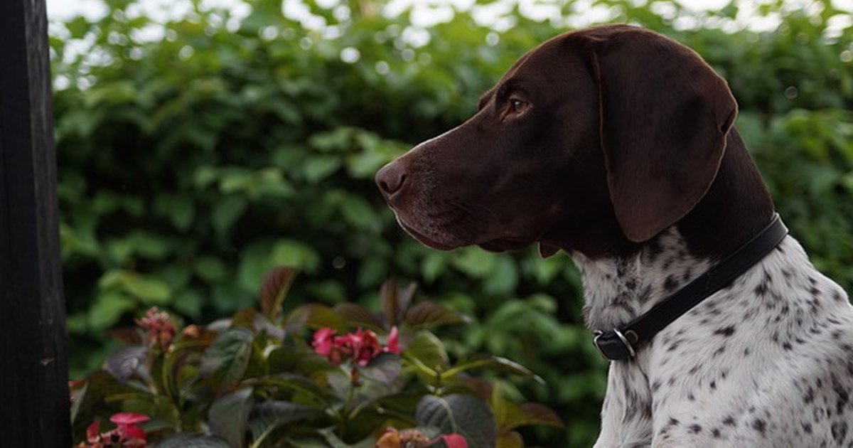 Recuperar local comercial okupado: fiscalidad y reputación