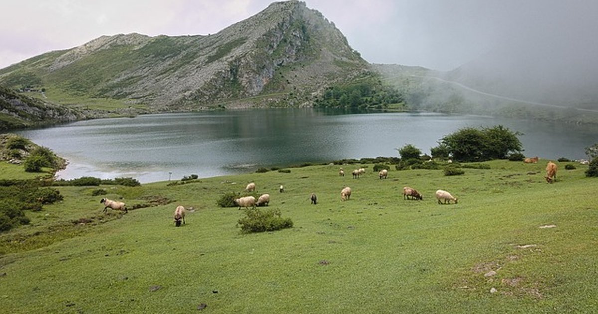 Riesgos de subrogar alquileres tras herencia con ocupantes